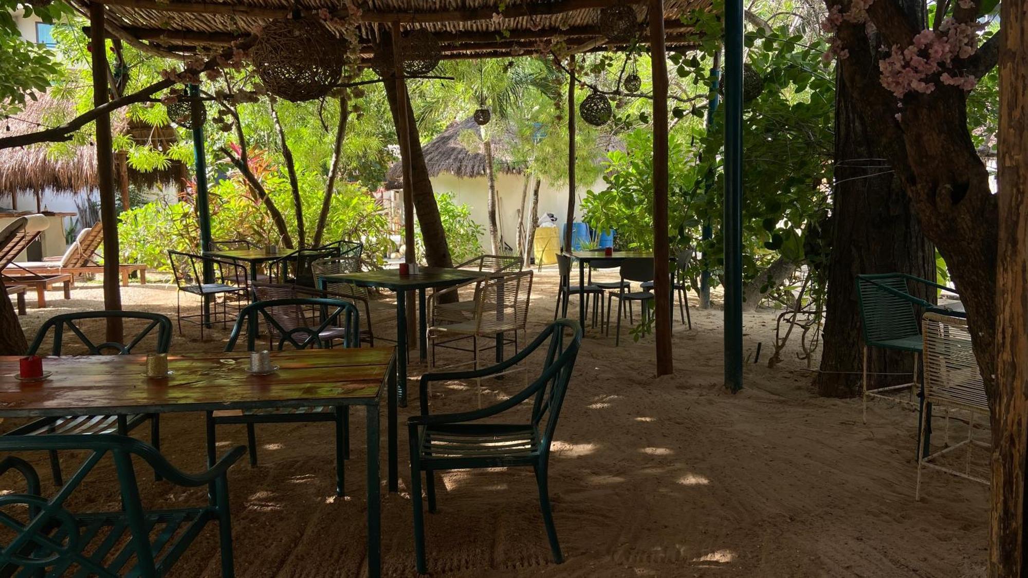 Nature Stay (Adults Only) Playa del Carmen Dış mekan fotoğraf