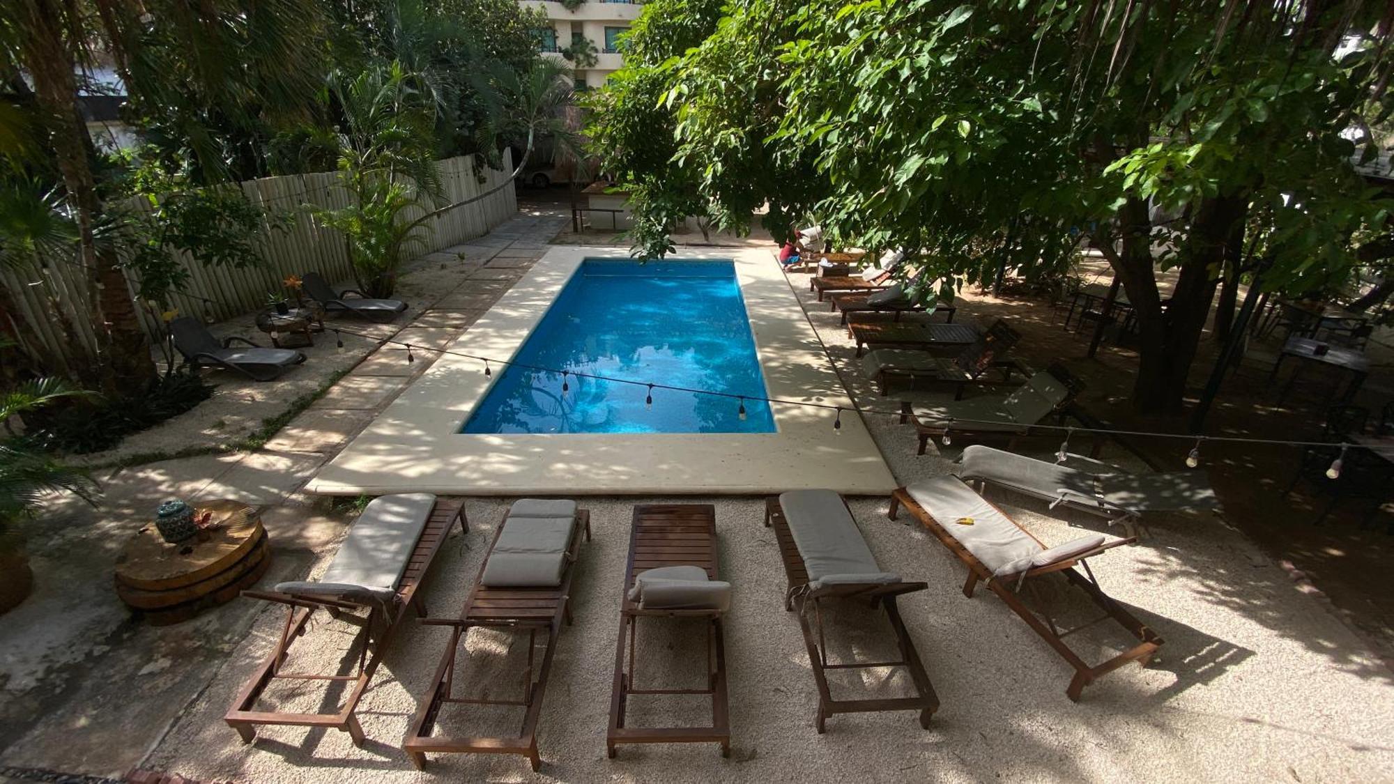 Nature Stay (Adults Only) Playa del Carmen Dış mekan fotoğraf