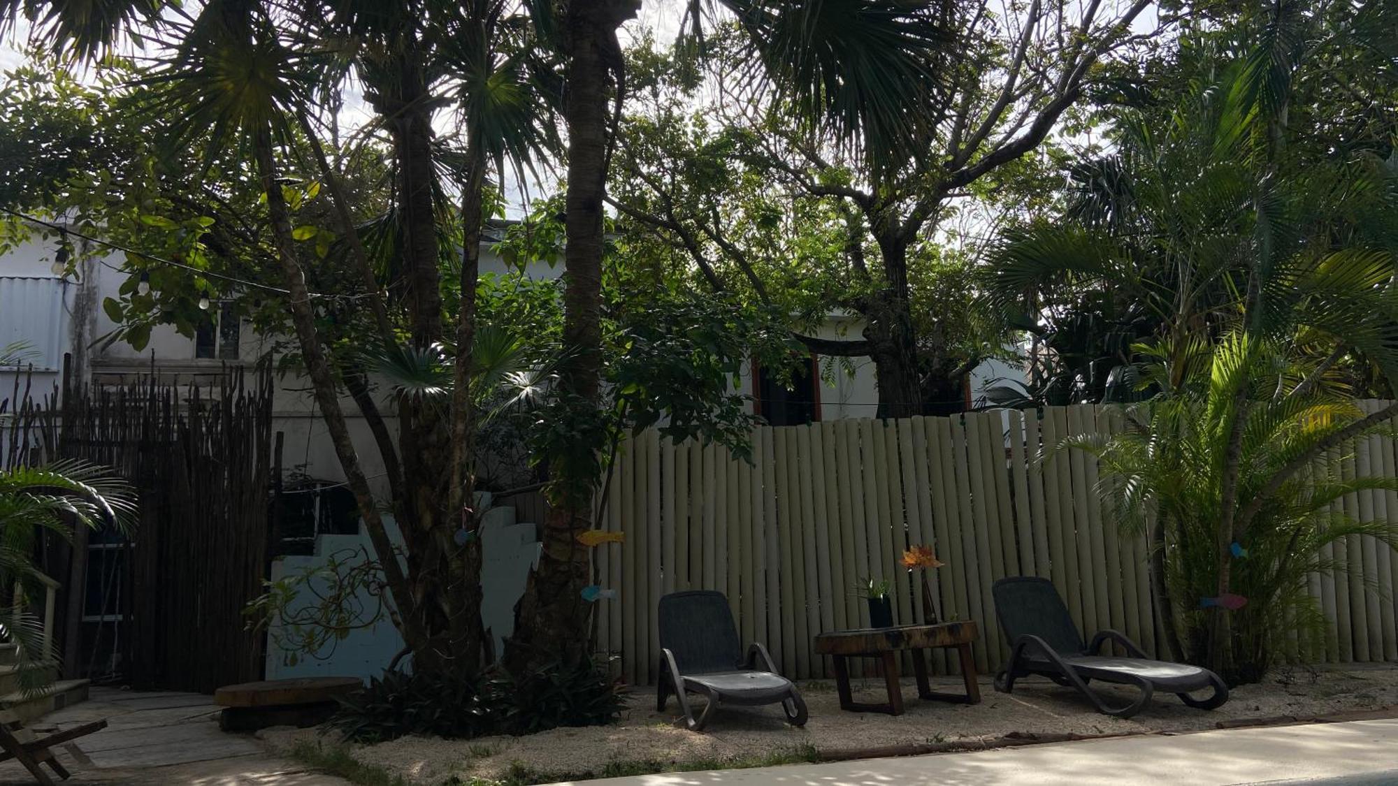 Nature Stay (Adults Only) Playa del Carmen Dış mekan fotoğraf