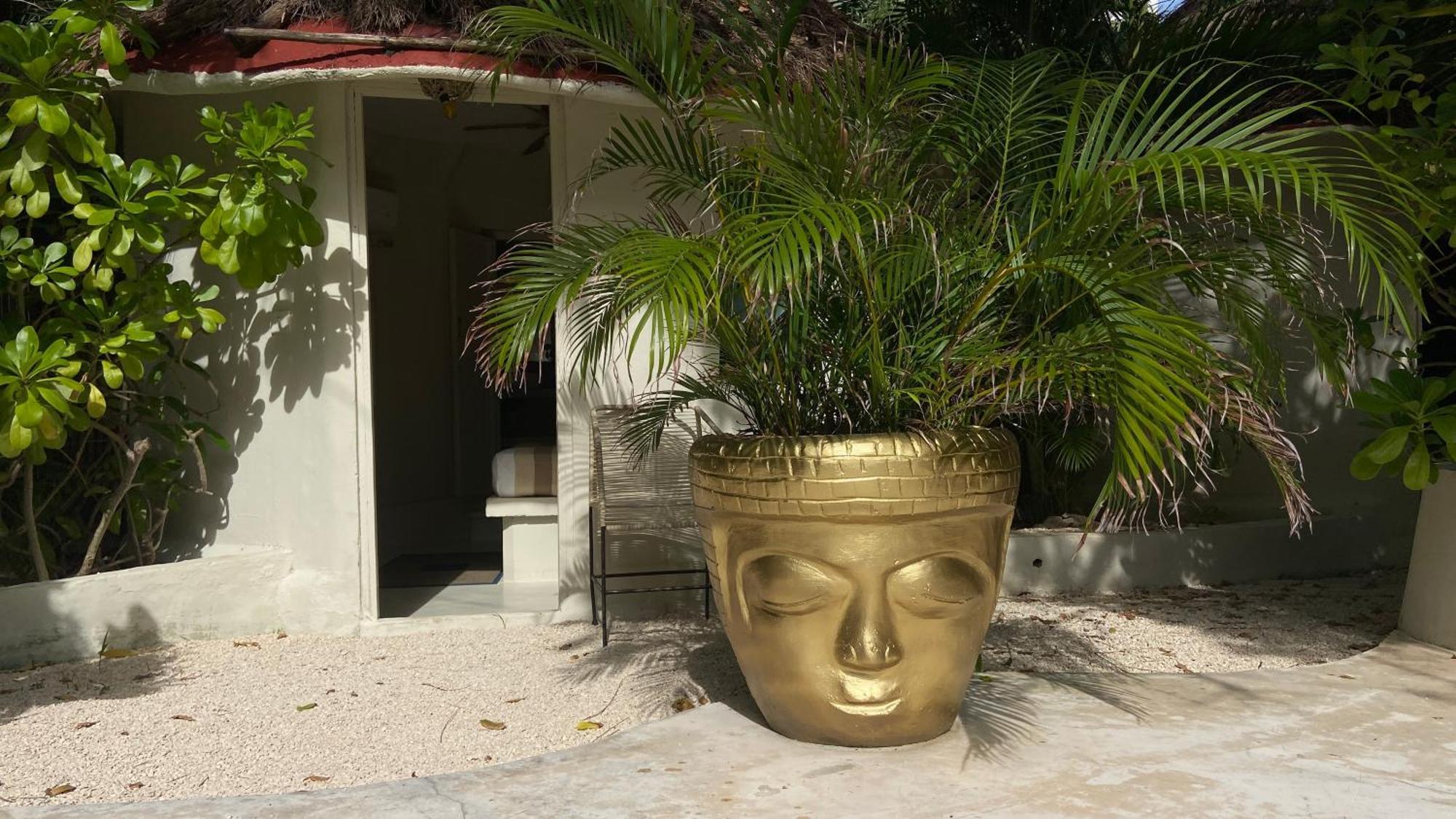 Nature Stay (Adults Only) Playa del Carmen Dış mekan fotoğraf