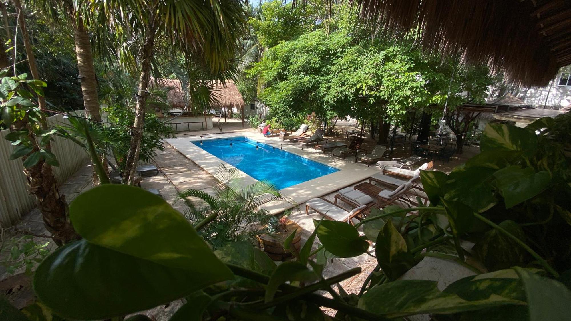 Nature Stay (Adults Only) Playa del Carmen Dış mekan fotoğraf