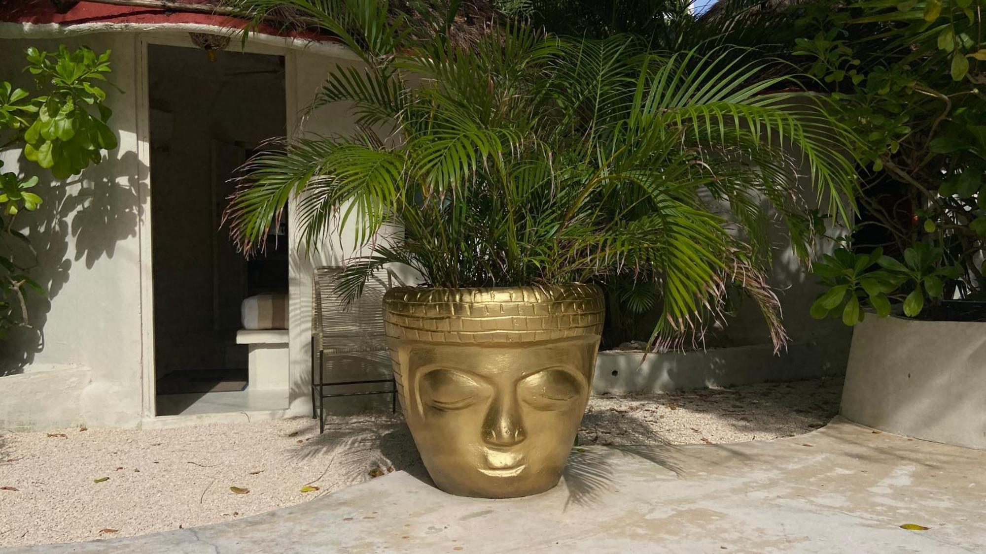 Nature Stay (Adults Only) Playa del Carmen Dış mekan fotoğraf