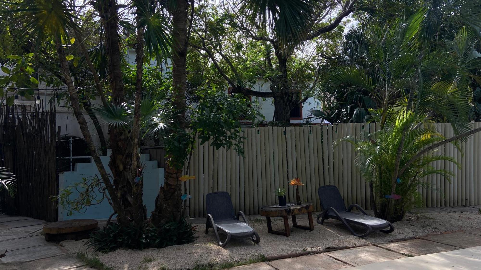 Nature Stay (Adults Only) Playa del Carmen Dış mekan fotoğraf