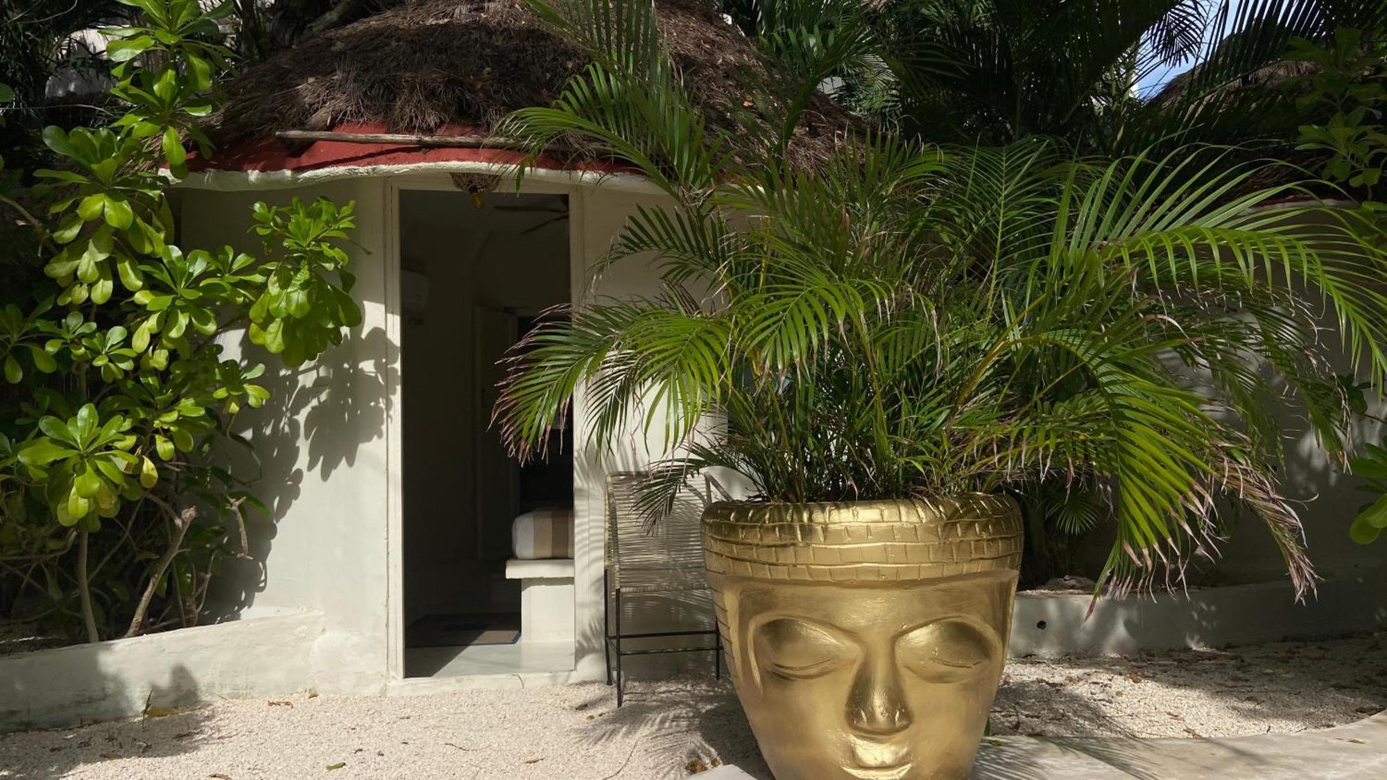 Nature Stay (Adults Only) Playa del Carmen Dış mekan fotoğraf