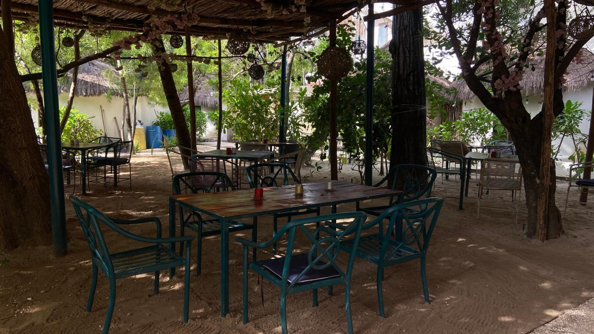 Nature Stay (Adults Only) Playa del Carmen Dış mekan fotoğraf