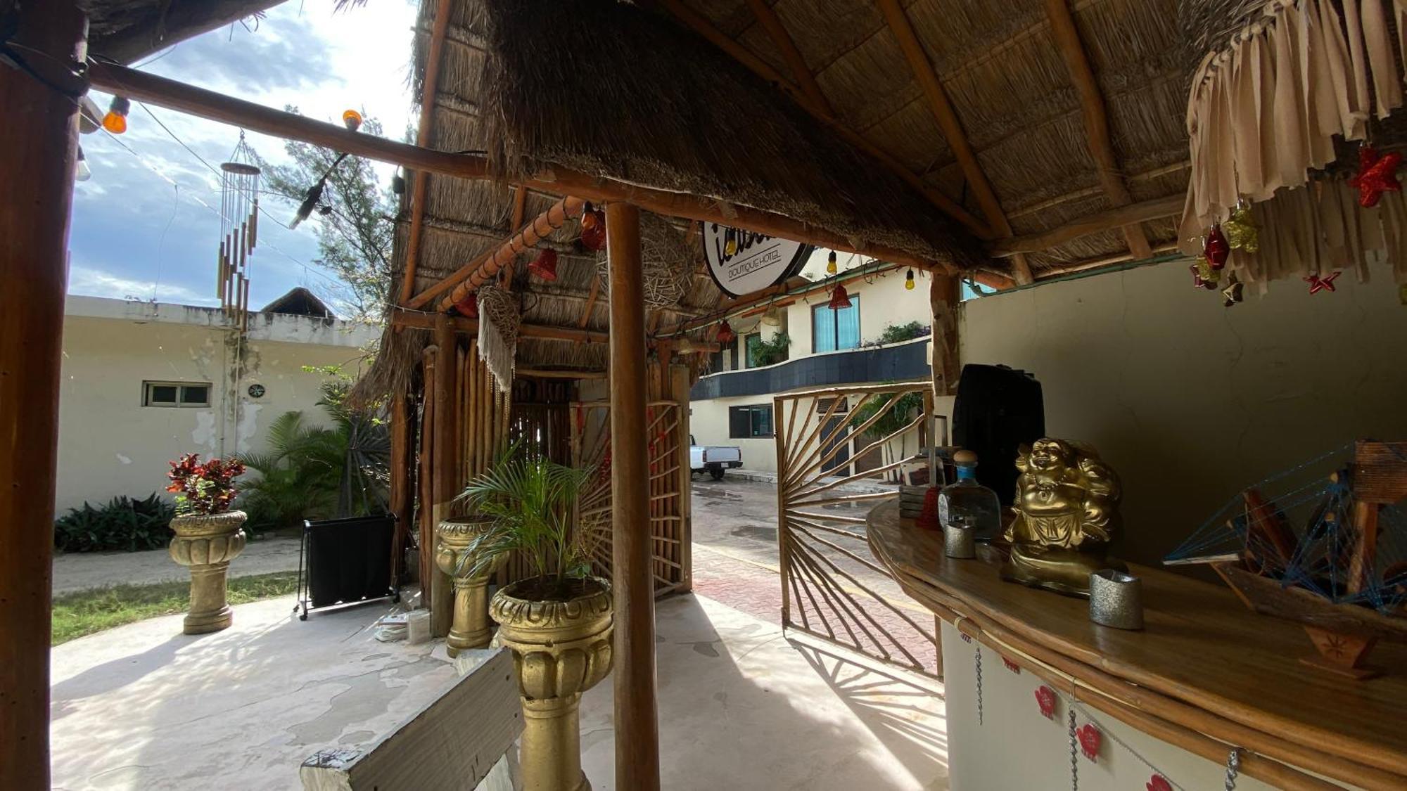 Nature Stay (Adults Only) Playa del Carmen Dış mekan fotoğraf